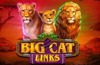 Big Cat Links